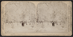 A lover's walk, Niagara Falls, New York, U.S.A. [View of couple walking in winter scene.]