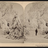 Sparkling crystals on every bough. [Winter scene, Niagara Falls.]