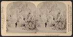 Sparkling crystals on every bough. [Winter scene, Niagara Falls.]