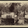 Second Sister Island Bridge, Niagara.