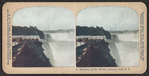 Grandeur of the waters, Niagara Falls, N.Y. [Hand-colored view.]