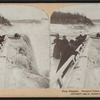 Free Niagara, Prospect Point, winter.