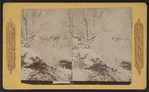 Gems of Niagara. [Winter view of Niagara Falls.]