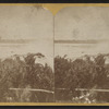 Niagara, Horse Shoe Fall from Goat Island.