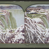 Exquisite iced foliage, Canadian side of Niagara Falls.