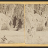 Luna Island scenery. [Winter view, a group standing among ice covered trees.]