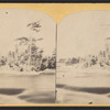 Niagara, Chapin Island in winter.