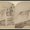 Ice tree in front of falls, Niagara