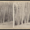 Below Niagara in winter. [Icicles.]