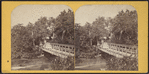 Luna Island Bridge, Niagara.