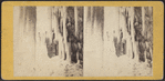 Niagara winter. [Interior view of cave, with icicles.]