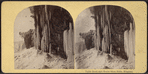 Table Rock and Horse Shoe Falls, Niagara.