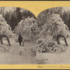 Niagara, Luna Island [winter view].
