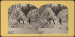 Niagara, Luna Island [winter view].