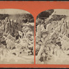 Ice covered foliage, winter, Niagara Falls.