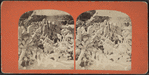 Ice covered foliage, winter, Niagara Falls.