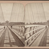 Suspension Bridge, Niagara [top view].