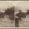 Banks of the Niagara, Goat Island.