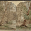 Banks of the Niagara, view from Goat Island.