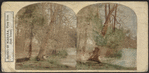 Banks of the Niagara, view from Goat Island.