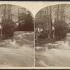 Hermit's Cascade, Goat Island.