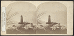 Terrapin Tower, from Goat Island.