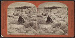 The great ice bridge, Niagara, N.Y.