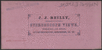View of Niagara Falls.