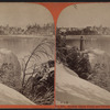 Horse Shoe Fall and Tower, from Goat Island.