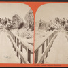 Luna Island Bridge.