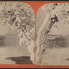 Clifton House, through Ice Arch.