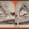 Ice Tree and American Fall.