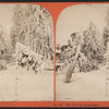 Ice Grove, Luna Island.