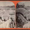 Ice Grove, Luna Island.