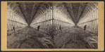 Suspension Bridge - The Interior.