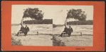 Niagara Falls. [from Luna Island.]