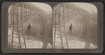 Dixon crossing Niagara below the Great Cantilever Bridge, U.S.A.