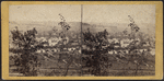 View from Evergreen Cemetery, Owego.