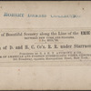 Branch of D. and H.C. Co.'s R.R. under Strucca Viaduct.