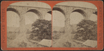 Branch of D. and H.C. Co.'s R.R. under Strucca Viaduct.