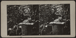 Cat atop pillow on a tree stump.