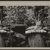 Cat atop pillow on a tree stump.