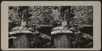 Cat atop pillow on a tree stump.