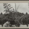Lake view with dam.