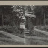 Trail to the Lake.