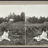 Cat sitting in a field.