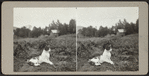 Cat sitting in a field.
