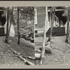 Path to entrance of a house.