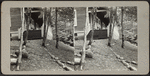 Path to entrance of a house.