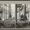 Couple posing on a log bench.